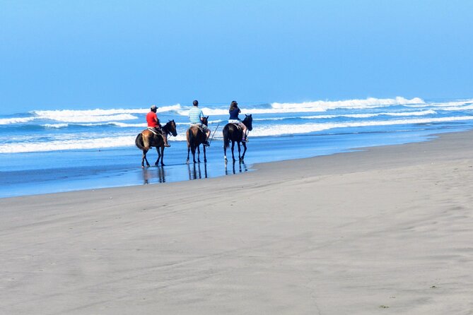 Afro-Mex Village Experience -Horseback Ride -Turtle Hatch & Crocs - Weather, fitness, and practical comfort