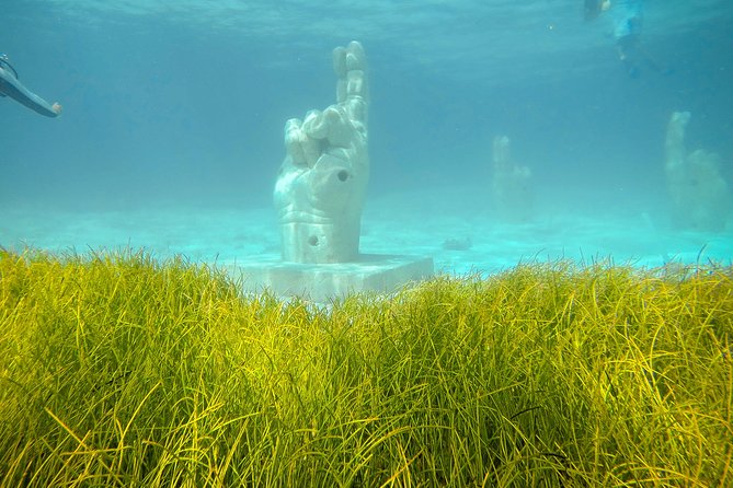 Afternoon Half-Day Catmaran Sailing and Snorkel Adventure - Who will enjoy this afternoon cruise