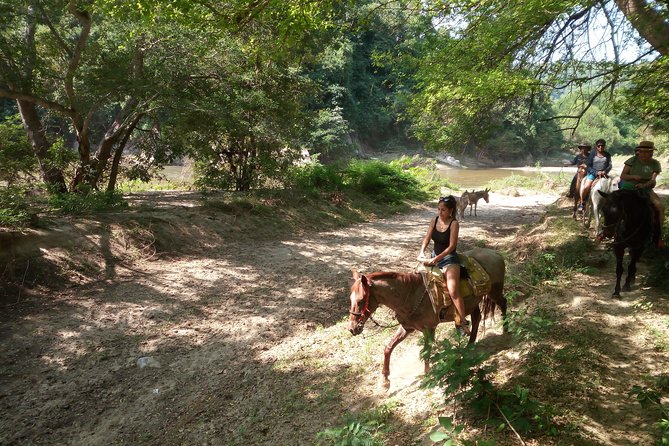 Aguas Termales a Caballo - Guides, Horses, and English Support