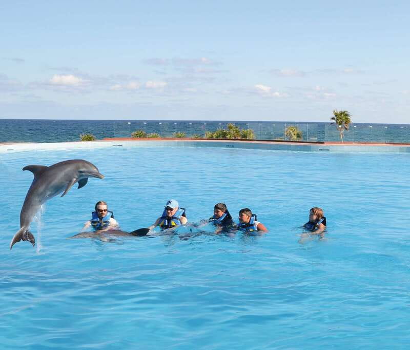 Akumal: Dolphin Encounter - Key points at a glance