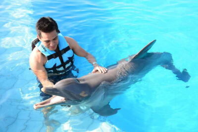 Dolphin Encounter