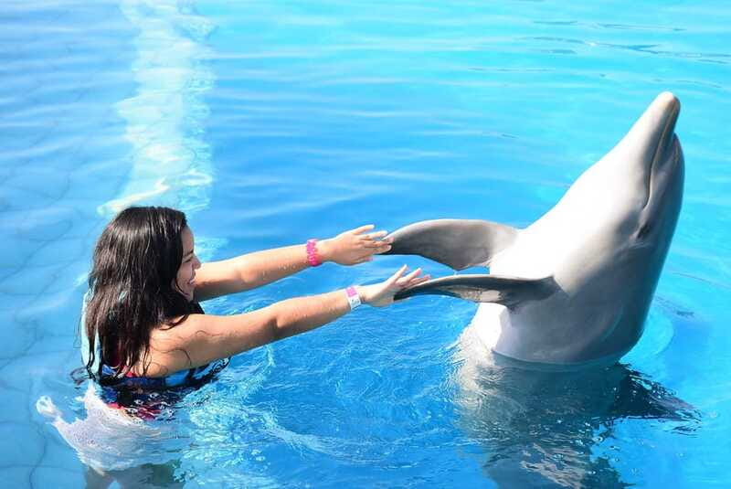Akumal: Dolphin Encounter - Is $99 a fair price?