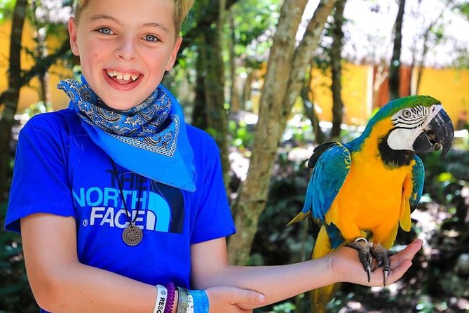 Akumal Monkey Sanctuary - Why the animal stories matter