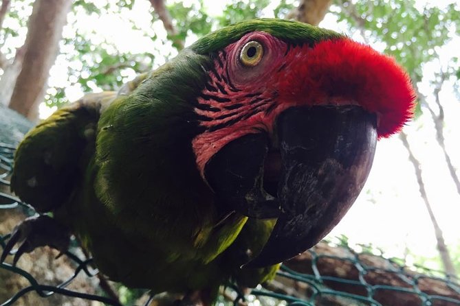Akumal Monkey Sanctuary - Heat, walking, and what to wear