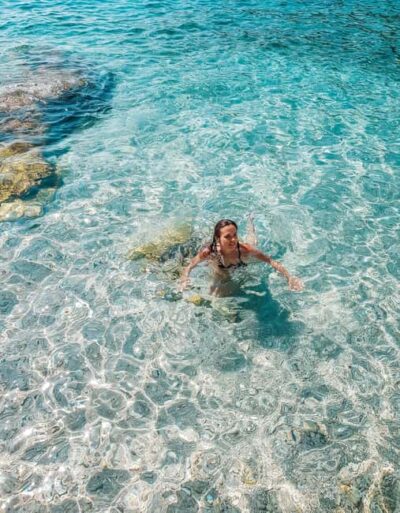Snorkel with Marine Fauna and an Expert Guide