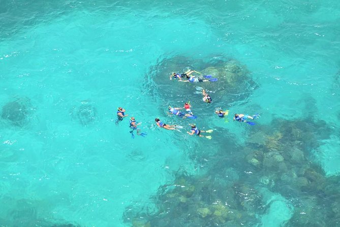 All Inclusive Caribbean adventure, reef snorkeling, Food & Drinks - Who should book this Isla Mujeres outing?
