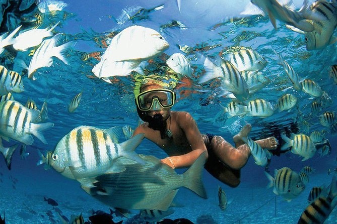 All Inclusive Caribbean adventure, reef snorkeling, Food & Drinks - Buffet lunch at the beach club