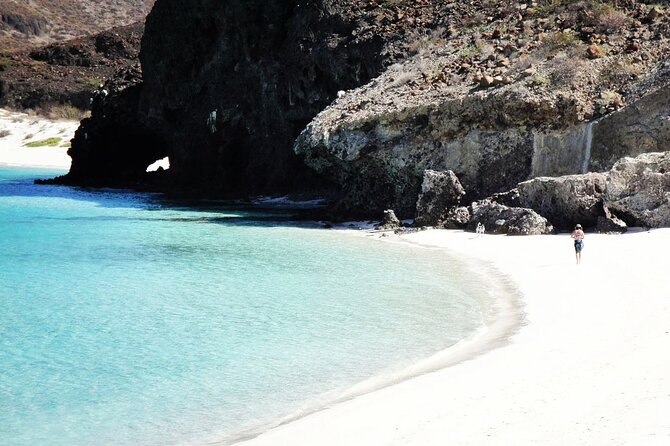 All-Inclusive Catamaran Tour | Beaches & Sea Lions from Los Cabos - A long morning ride that leads to the Sea of Cortez