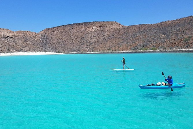 All-Inclusive Catamaran Tour | Beaches & Sea Lions from Los Cabos - Reaching the remote beach