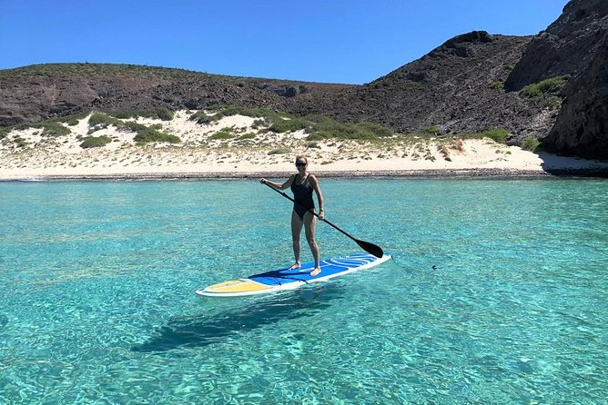 All-Inclusive Catamaran Tour | Beaches & Sea Lions from Los Cabos - Seeing sea lions from the support boat