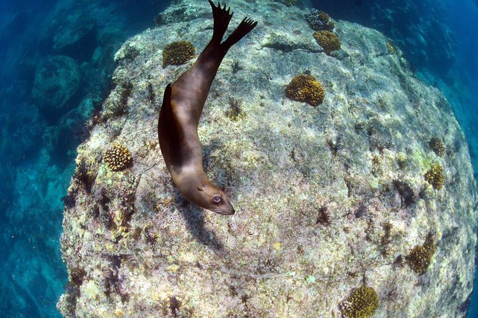 All-Inclusive Catamaran Tour | Beaches & Sea Lions from Los Cabos - The return through Todos Santos