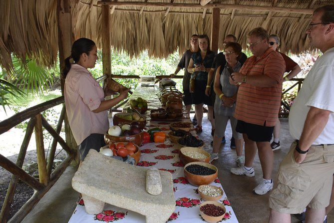 Ancient Chacchoben Mayan Ruins & Mayan Experience from Costa Maya - Meeting a Mayan family in Chacchoben