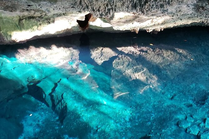 Archaeological Tour in Tulum and Coba with Kuxtal Cenote - Coba: inland ruins and a shorter guided visit