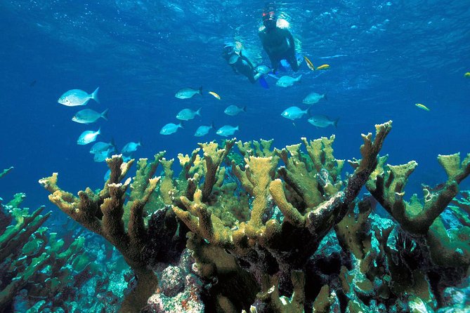 ATV Adventure Combo with Snorkeling, Ziplines, Cenote, and Lunch - Ziplines built for first-timers