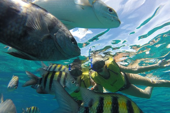 ATV Mud Kicking and Snorkeling by Boat in Cozumel - Lunch, drinks, and the water park