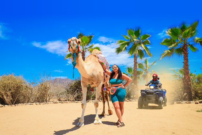 ATV Tour, Camel Ride, Tequila Tasting and Mexican Buffet Lunch - A camel ride beside the Sea of Cortez