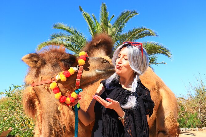 ATV Tour, Camel Ride, Tequila Tasting and Mexican Buffet Lunch - Buffet lunch with tequila and mezcal