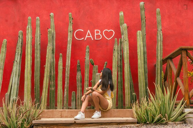 ATV Tour, Camel Ride, Tequila Tasting and Mexican Buffet Lunch - What the advertised $149 really covers