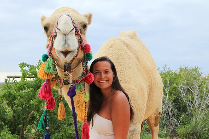 ATV Tour, Camel Ride, Tequila Tasting and Mexican Buffet Lunch - ATV trails through cactus and canyon