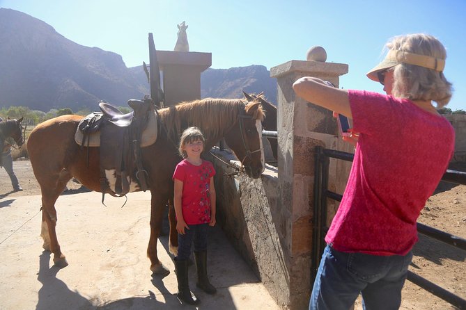 Authentic horseback riding in beautiful La Mision - Meeting the ranch animals afterward