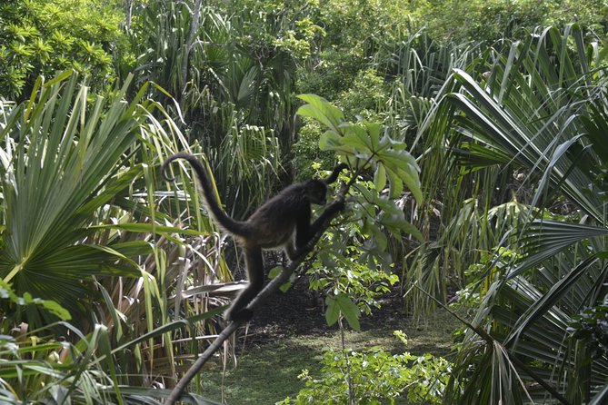 Bacalar Lagoon & Chacchoben Mayan Ruins from Costa Maya - Timing matters more than almost anything else