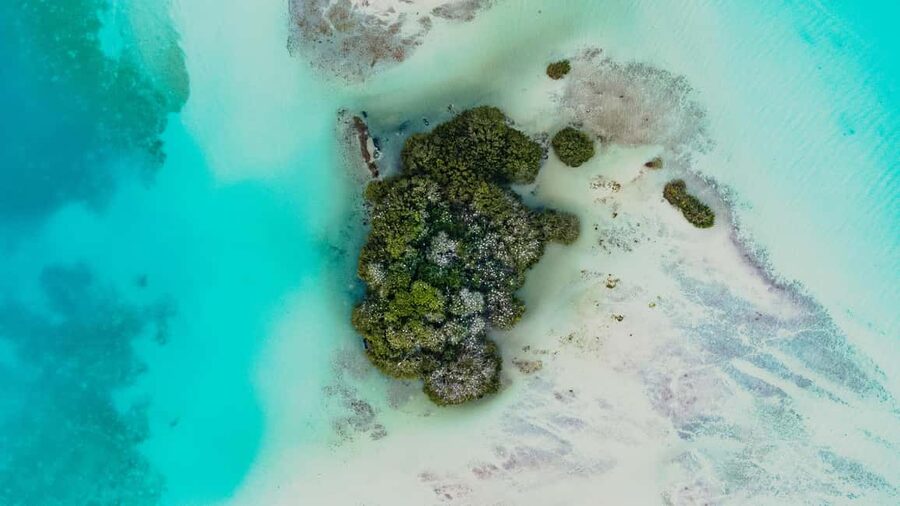Bacalar Lagoon Sailing Tour with Open Bar and Mexican Lunch - What the food and open bar really add