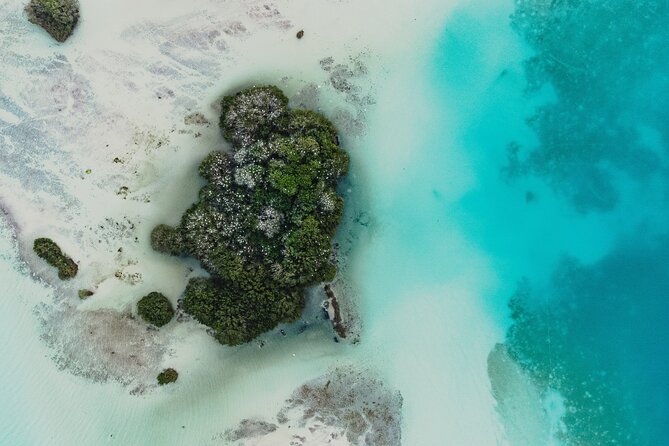 Bacalar Lagoon Sightseeing Boat Tour with Open Bar and Snacks - Meeting the boat on Avenida 5