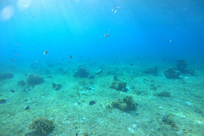 Bavarian Fiesta Snorkel Activity in Glass Bottom Boat at San Miguel de Cozumel - Shipwrecks, reef, and changing island conditions