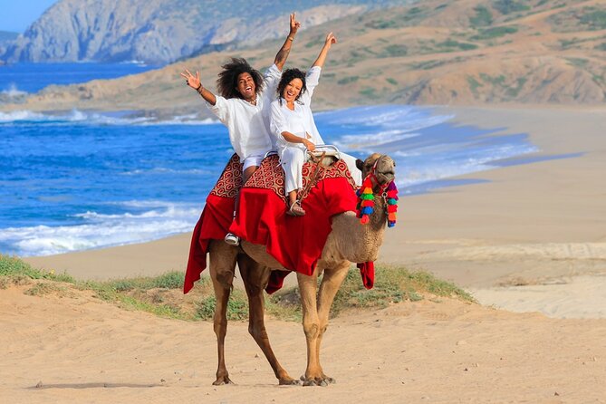 Beach Camel Ride and Encounter in Cabo - What happens at Cactus Tours