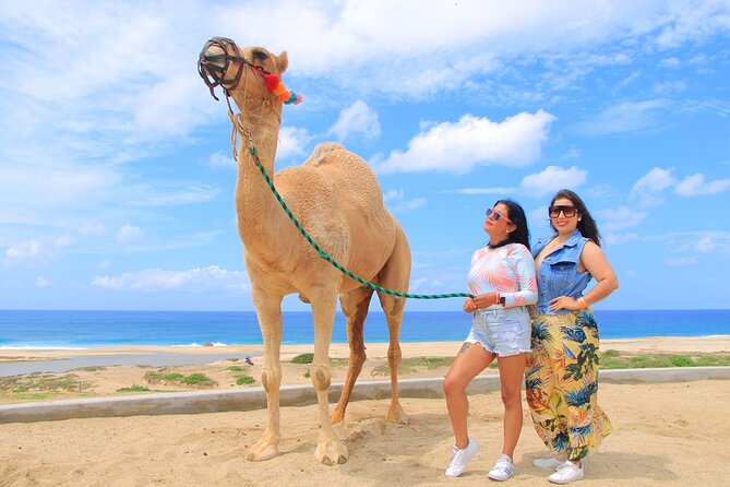 Beach CAN-AM SXS X3 and Camel Ride in Cabo - Timing, pickup, and small details that affect the day
