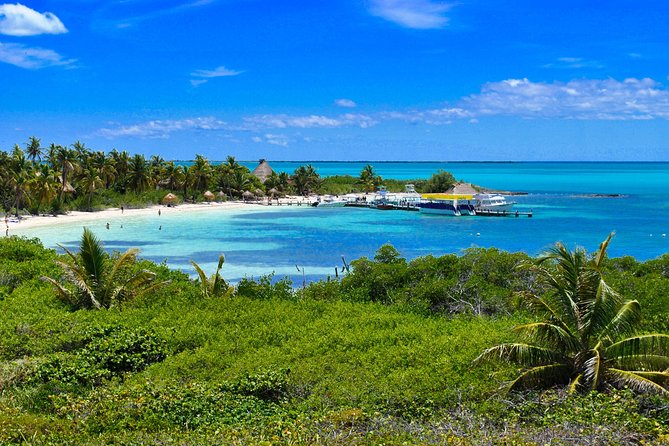 Beach Escape: Isla Contoy and Isla Mujeres with Snorkeling. - The early pickup from Playa del Carmen
