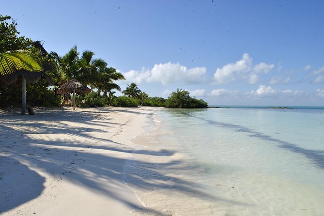 Beach Escape: Isla Contoy and Isla Mujeres with Snorkeling. - Three hours on Contoy, including lunch