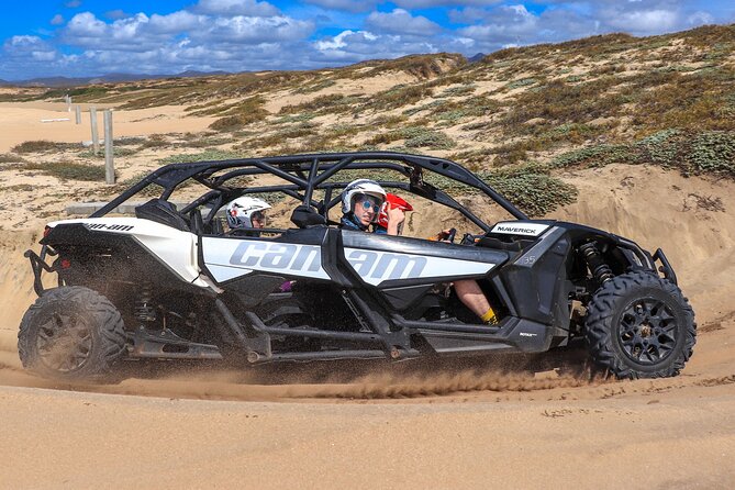 Beach UTV Adventure with Free Camel and Horseback Ride - A relaxed hour on a quarter horse