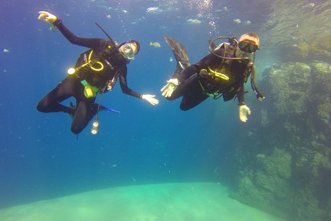 Beginner Scuba Diving in Cabo San Lucas - Check-in at Manta Scuba Diving