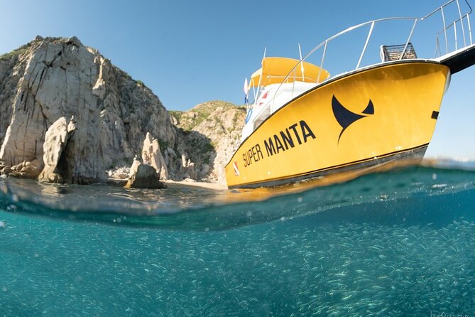 Beginner Scuba Diving in Cabo San Lucas - Practicing skills at the site