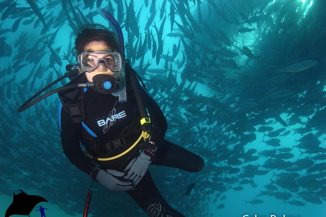 Beginner Scuba Diving in Cabo San Lucas - What $142 buys you