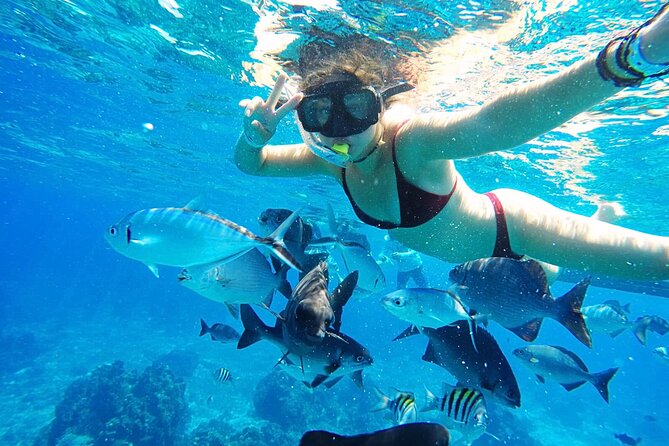 Best Cozumel Day Pass San Francisco Beach Club - Kayaks, paddle boards, snorkeling, and inflatables