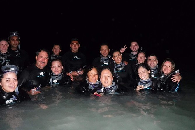 Bioluminescence Experience in Holbox - Mosquitoes, darkness, and safety