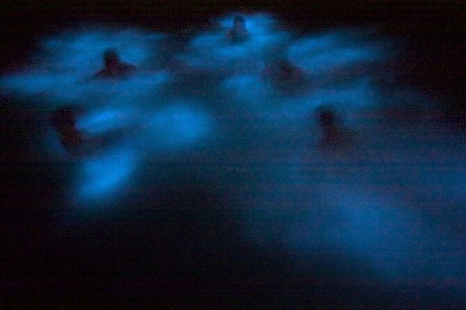 Bioluminescence & sunset local boat tour to Los Arcos Sanctuary - What the guides explain at the sanctuary