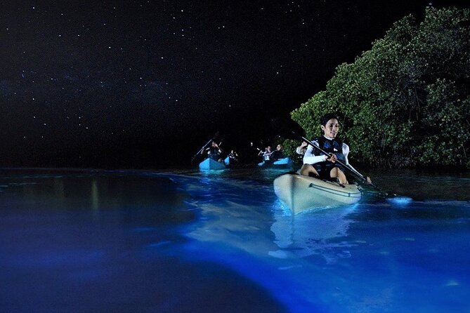 Bioluminescence Tour in Kayak in Holbox Island - What the 1-hour-45-minute Holbox night looks like
