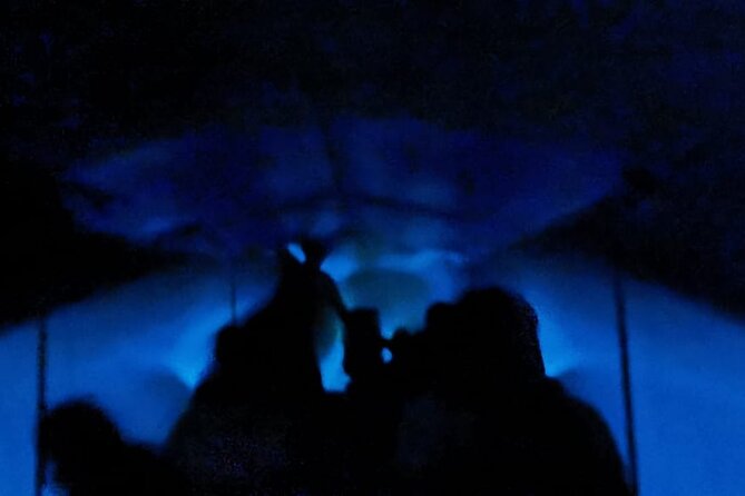 Bioluminescent Night Tour - Manialtepec Lagoon after dark