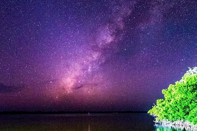 Bioluminescent Night Tour - Who will enjoy this most