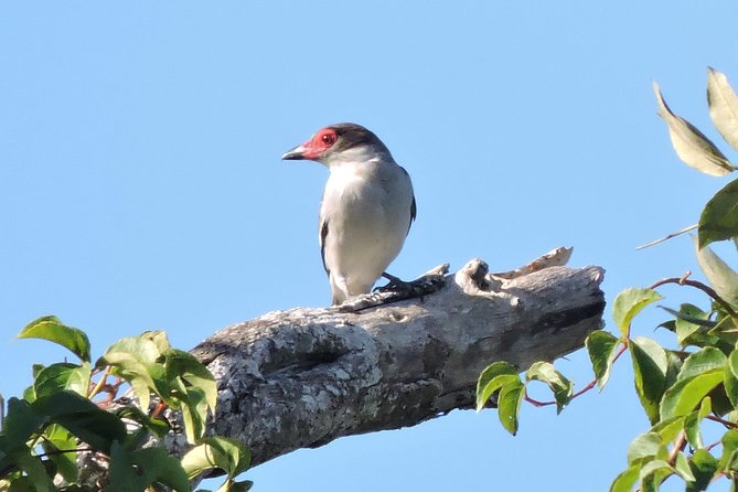 Birdwatching Cancun - Cancellation and booking details
