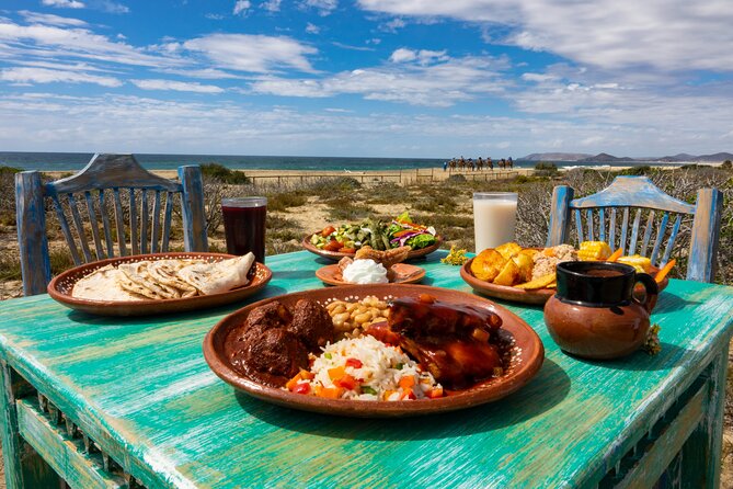 Boat Ride to the Arch and Beach Camel Ride in Cabo San Lucas - Mexican lunch, tequila, and the best downtime