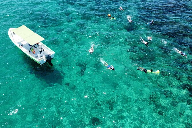 Boat ride to the Arch and Snorkel - Key points to know before booking
