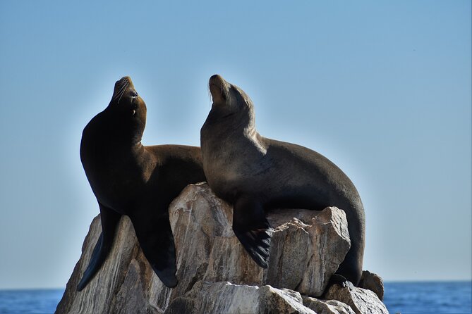 Boat ride to the Arch and Snorkel - About the 30-minute ride across the Sea of Cortez