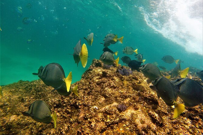 Boat ride to the Arch and Snorkel - Guides who add more than directions