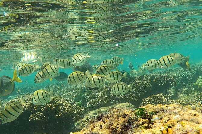 Boat ride to the Arch and Snorkel - Is the $82.44 price a good value?