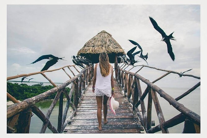 Boat Tour of Three Islands in Holbox with Transportation - A half-day boat trip with three very different stops