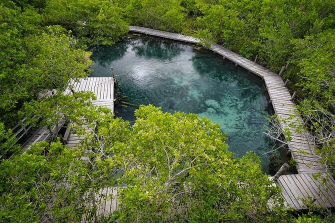 Boat Tour of Three Islands in Holbox with Transportation - Isla Pájaros and the uncertainty of wildlife viewing